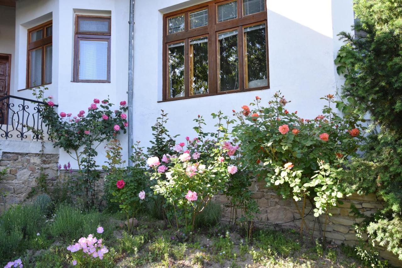 Guest House Astra Arbanasi Bagian luar foto